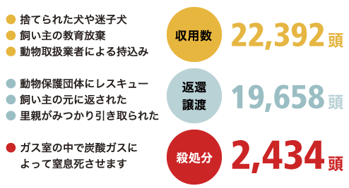犬の殺処分率