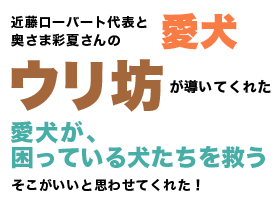 犬が犬を救う