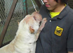 保護犬の支援
