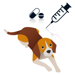 犬のワクチン